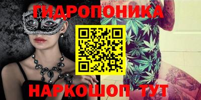 ешки Можга