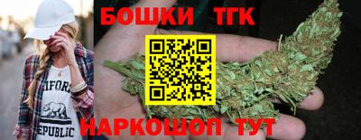 ешки Можга