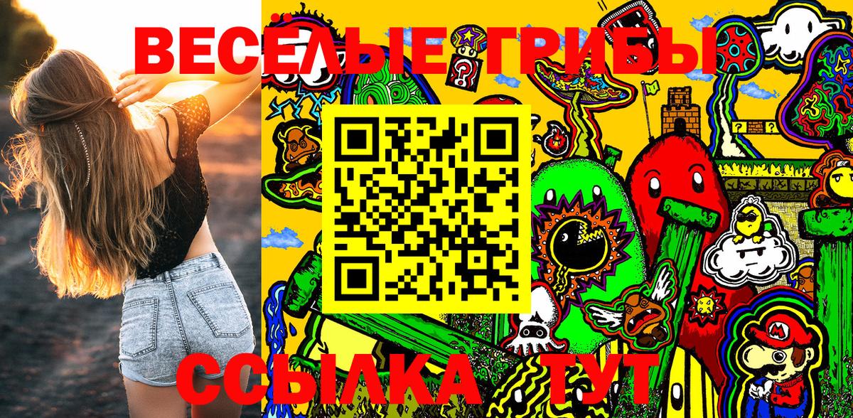 Галлюциногенные грибы Psilocybe Владикавказ