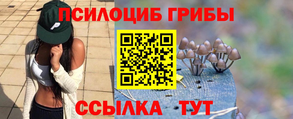 Владикавказ  Псилоцибиновые грибы мухоморы  Вход с VPN 